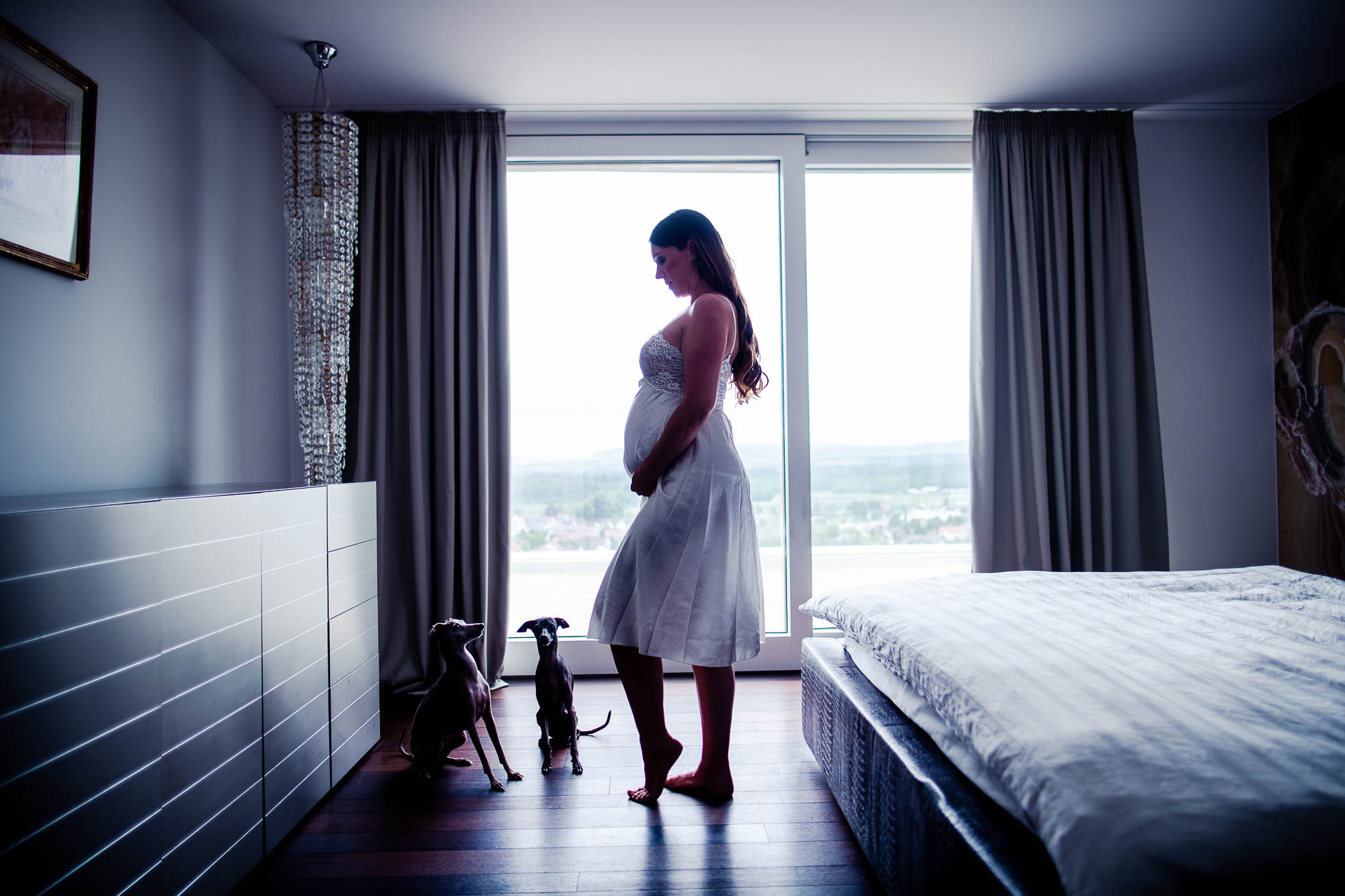 Export x3 1DX26125 Fotoshooting 2020 Zito